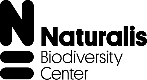 WP 4 -principle contact
